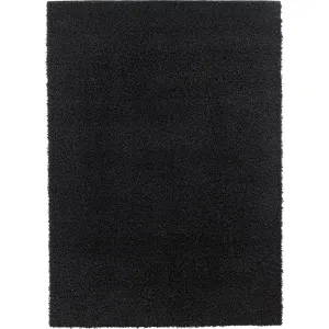Caci Charcoal Area Rug