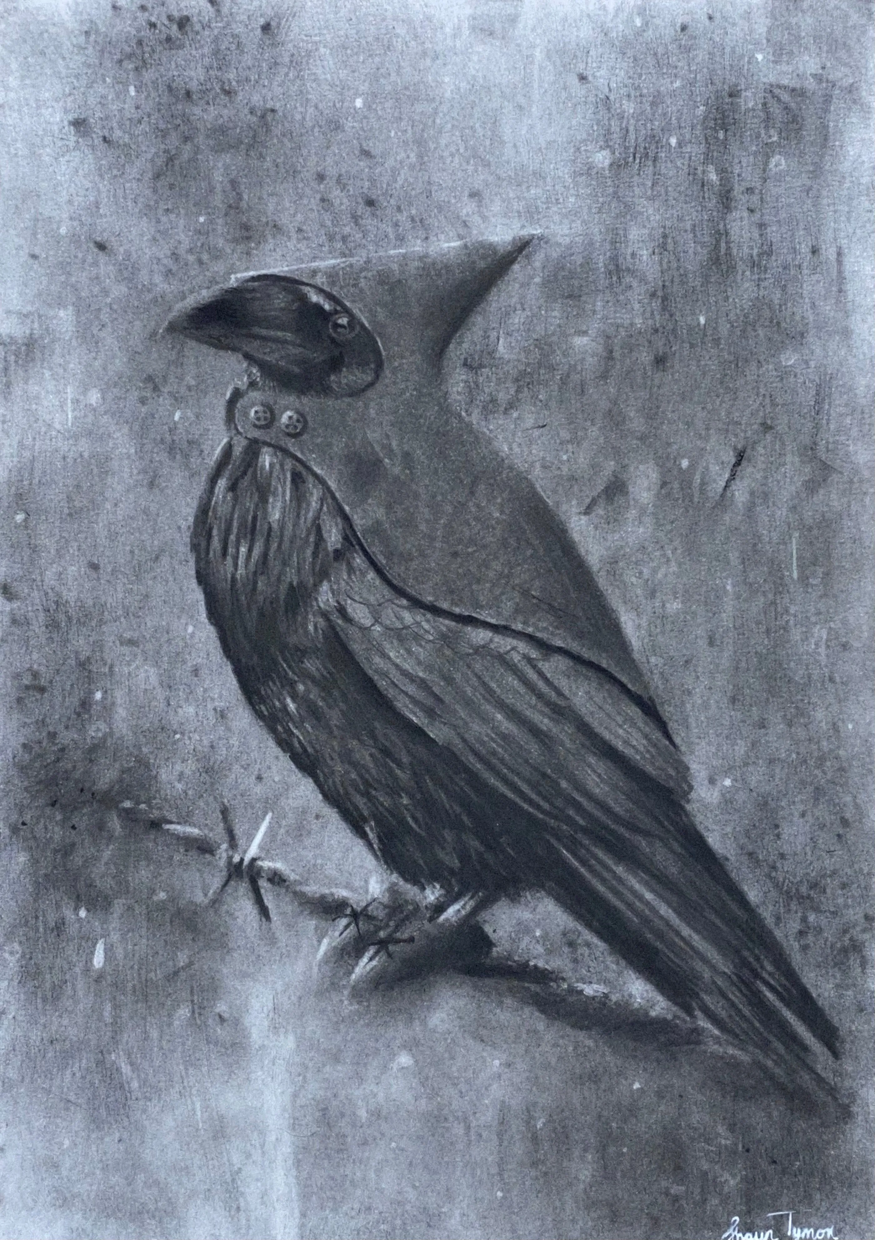 The Keeper Of Winter ORIGINAL Charcoal by Shaun Tymon